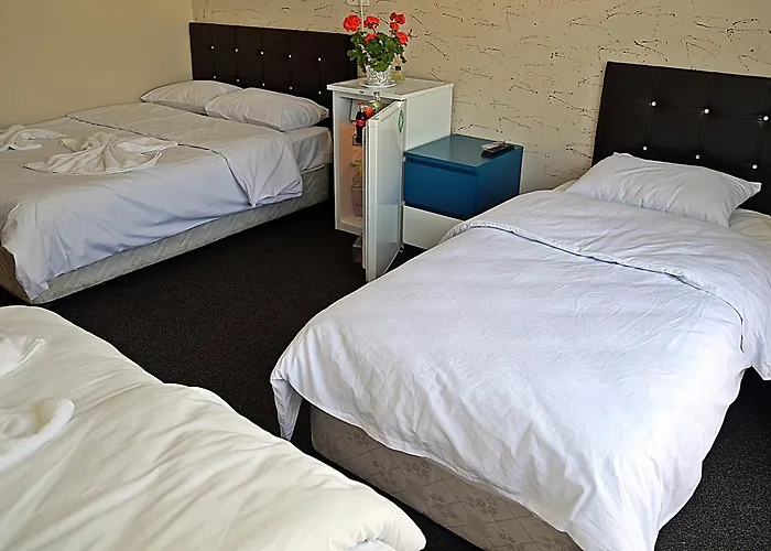 公寓式酒店 Family