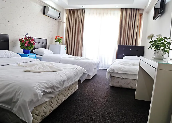 公寓式酒店 Family 伊斯坦布尔