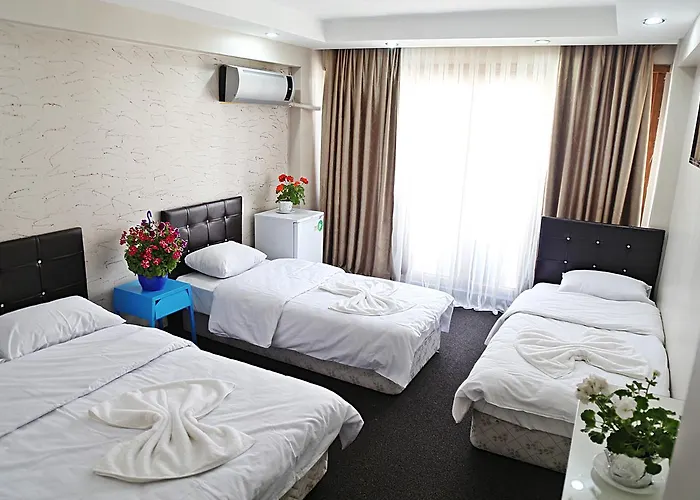 公寓式酒店 Family