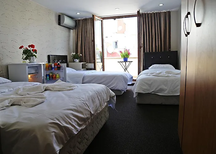 公寓式酒店 Family