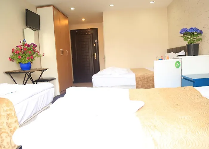 公寓式酒店 Family