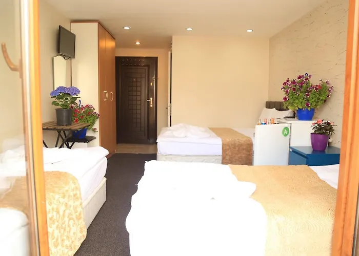 公寓式酒店 Family 伊斯坦布尔