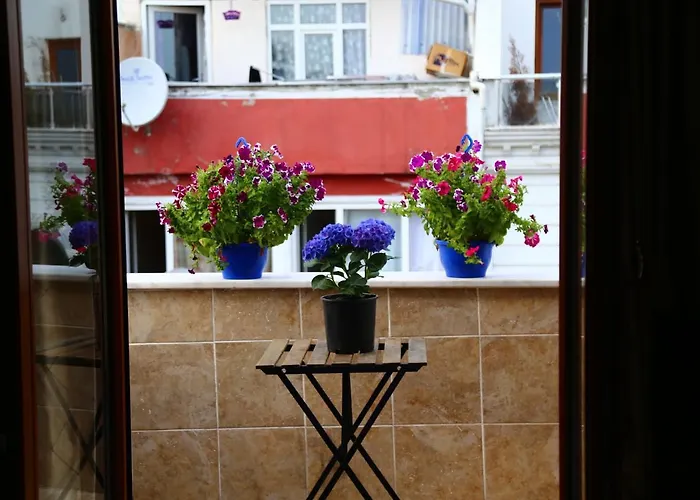 Family 伊斯坦布尔