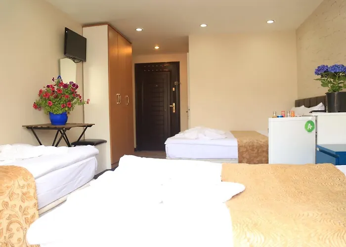 公寓式酒店 Family 伊斯坦布尔