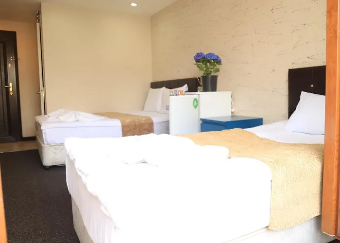 Family 公寓式酒店