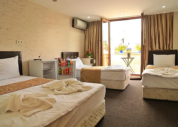 公寓式酒店 Family