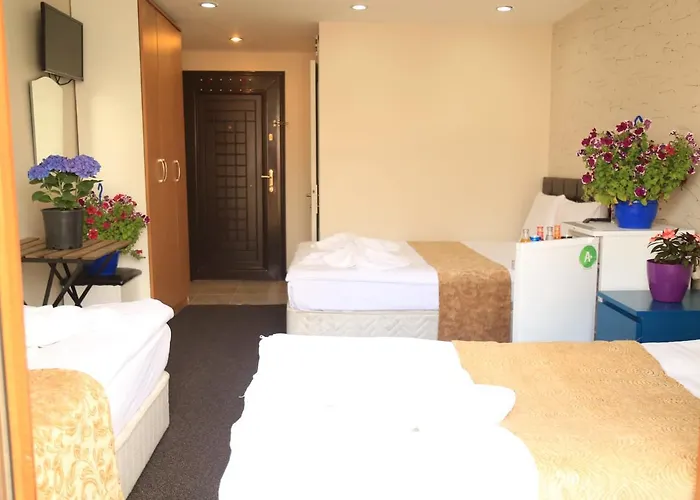 公寓式酒店 Family